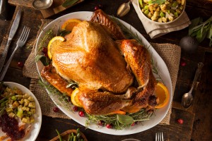 thanksgiving_turkey_charliejohns