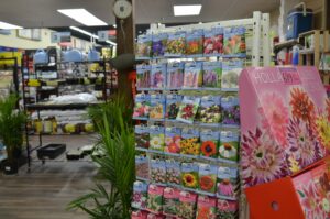 assortment of flower bulbs and seeds