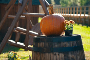 fall scene at home with pumpkin