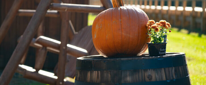 fall scene at home with pumpkin