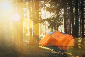 camping in the trees